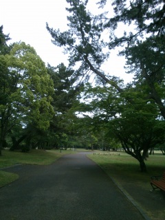 �����ɂāB