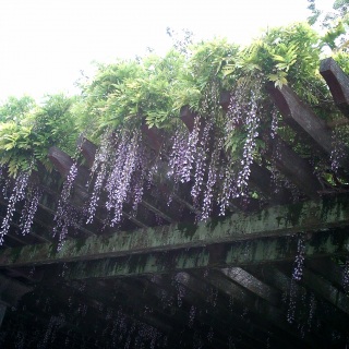 ���E�����ɂāB