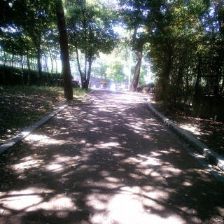 �������Ƃ��B