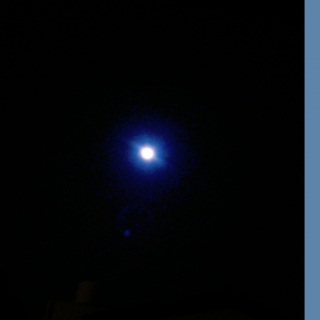 ����Ȃɑ������̖�́A