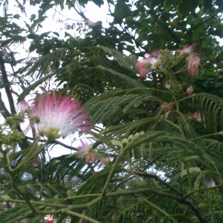 ���E�U���̏I���ɁB